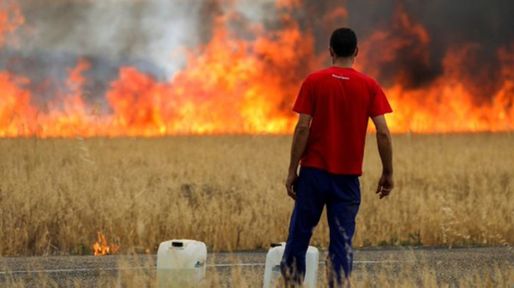 España bajo fuego: ya ardieron 173.000 hectáreas