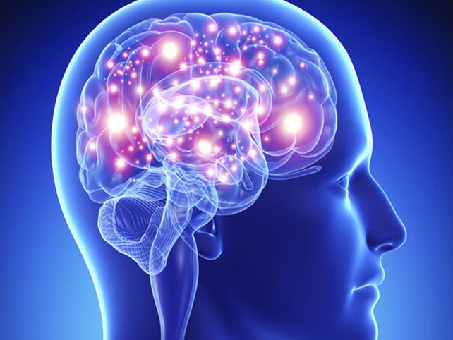 Diez cosas sobre cómo funciona tu cerebro