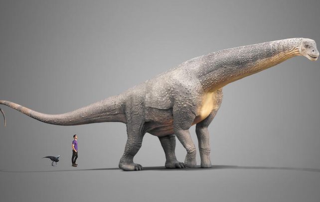 Es de acá. Desarrollado con impresoras 3D en Canadá durante seis meses