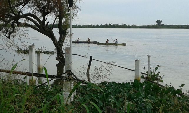 Finalizaron las tareas de limpieza en la costa del río Paraná