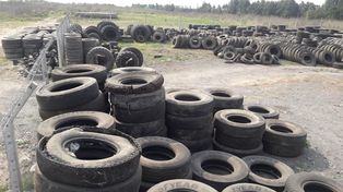 Sauce tiene el primer centro de almacenamiento de NFU