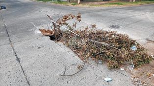 Gigantesco cráter en barrio Parque Garay
