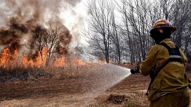 Incendios en humedales de todo el país.