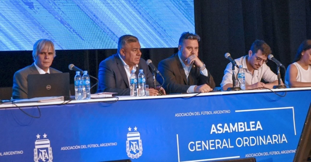 Los dirigentes de AFA decidieron la creaci&oacute;n de la Liga Profesional y la suspensi&oacute;n de los descensos.