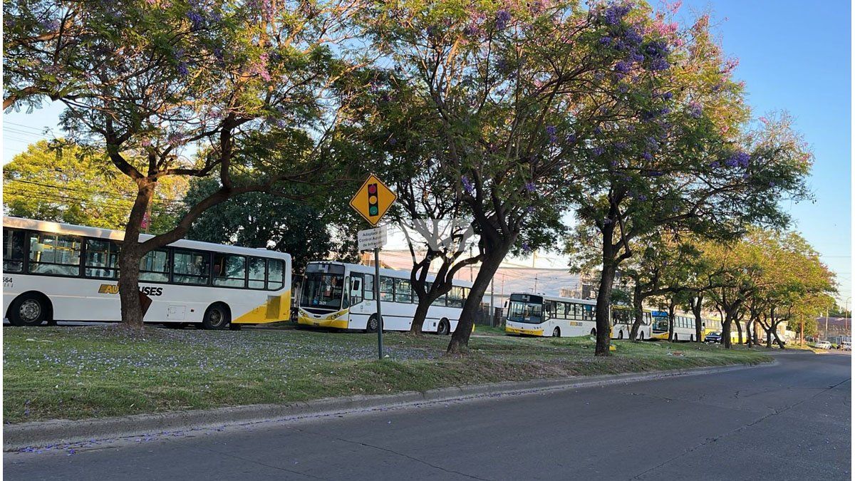 Nueve líneas de colectivos siguen sin prestar servicio en la ciudad de ...