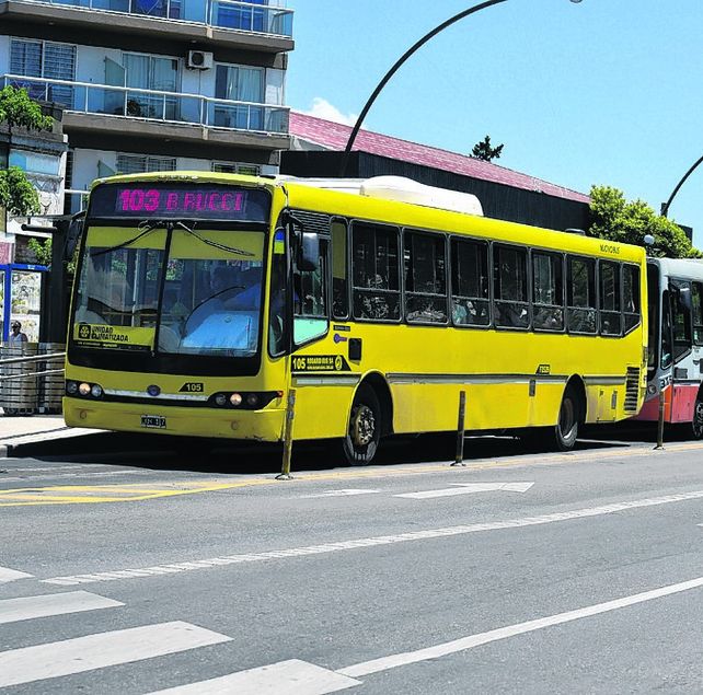 descuento. El trámite es para el sistema público de pasajeros local.&nbsp;