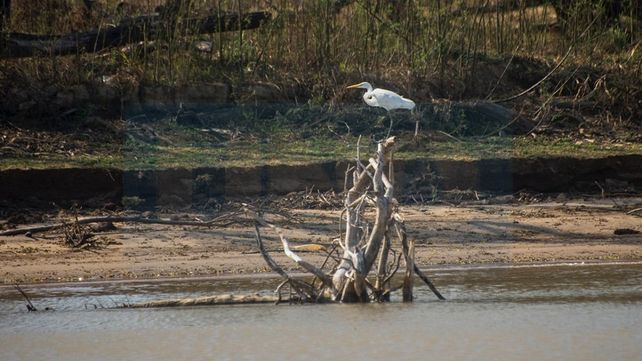 Investigadores relevaron sectores quemados de islas del Paraná Medio