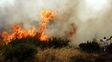 Un incendio forestal avanza a quince kil&oacute;metros del centro de Atenas