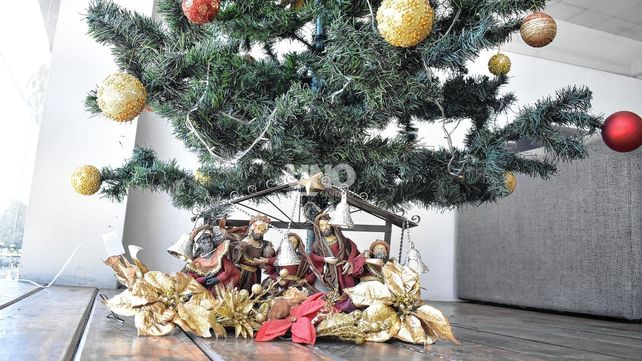 Armar el árbol este 2021 cuesta entre 20% a 30% más caro que un año atrás