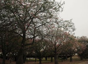 Viernes gris e inestable