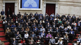 Diputados: la oposición logró forzar el plazo para dictaminar la emergencia en discapacidad y endeudamiento