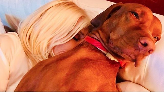 Susana Giménez junto a su perrita Rita