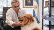 Murió Dylan, el perro de Alberto Fernández