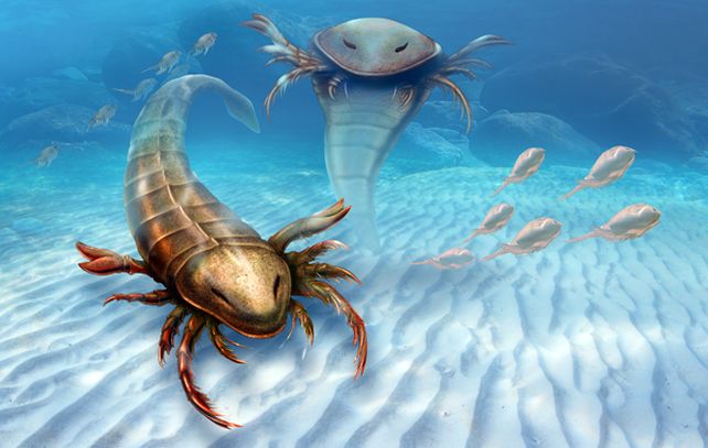 El Pentecopterus decorahensis es considerado uno de los primeros grandes depredadores.