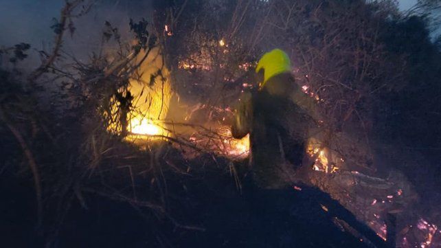 Paraná: el fuego se expande, agravado por el clima
