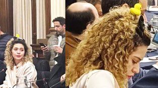 Lourdes Arrieta, diputada de la Libertad Avanza (LLA) se sumó a la popular moda oriental del “pato kawaii” y lució patito amarillo en la cabeza