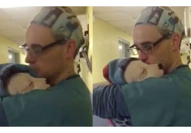 Un veterinario derritió la web con sus mimos a una perrita recién operada