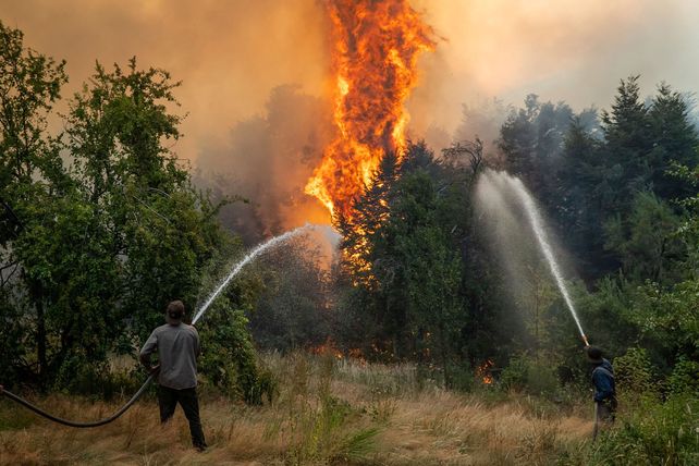 Reforma de los fondos ATN: organizaciones presentaron un proyecto con enfoque ambiental