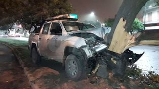 Una camioneta de la EPE impactó contra un árbol