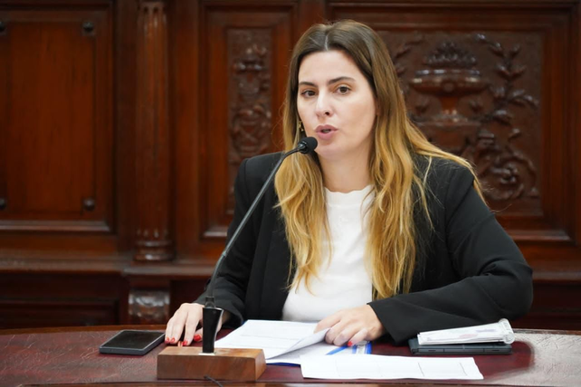 La diputada Lionella Cattalini (PS-Unidos), presidenta de la comisi&oacute;n bicameral de Acuerdos.&nbsp;