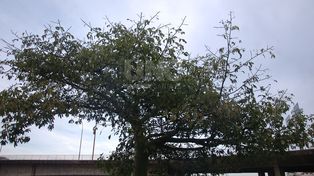 Un respiro de las temperaturas invernales