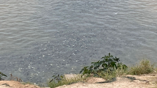 La mancha negra en la superficie del río Paraná se divisó a metros de las torres de Puerto Norte.