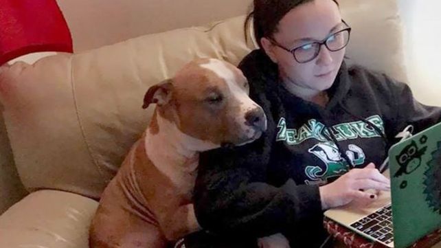 El enternecedor abrazo de un pitbull adoptado y su dueña conmueve a las redes