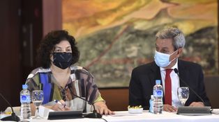 Vizzotti calificó de prioritaria la relación entre salud y ambiente en una conferencia de la OMS