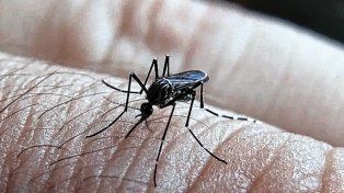 El avance del dengue en Entre Ríos&nbsp; interpela a la comunidad ante la falta de adherencia a las medidas de prevención.