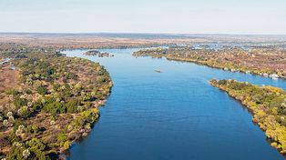 Aseguran que el hombre actual surgió en el sur de África