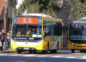 Emergencia en un colectivo: asistieron a un pasajero picado por un alacrán en pleno recorrido