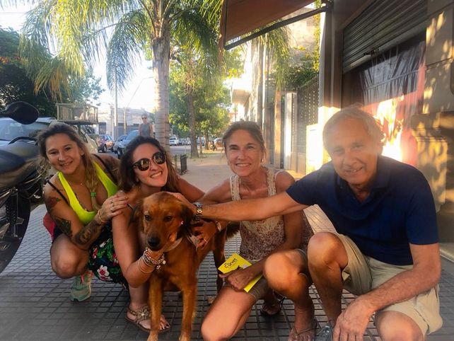 Macetita, otro perro callejero que encontró una familia