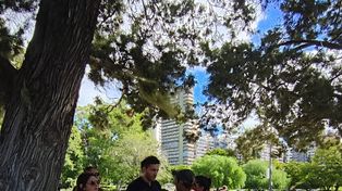 Cuidacoches: se labraron unas 70 actas a lo largo del fin de semana