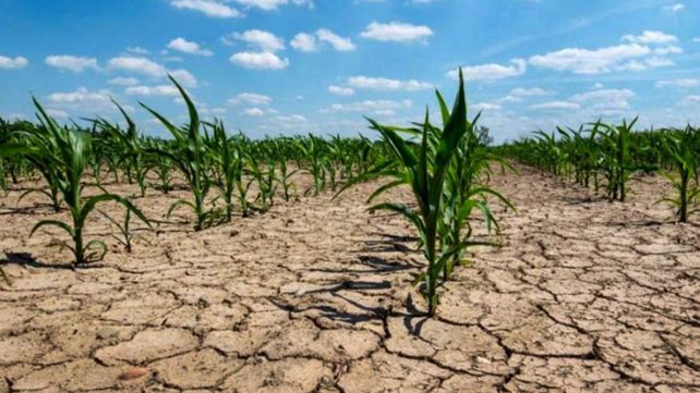 Entre Ríos: deberán llover 50 milímetros en Octubre