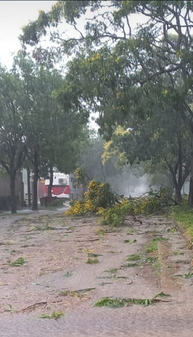 Alerta meteorológico: Fuerte tormenta afectó a Jubileo