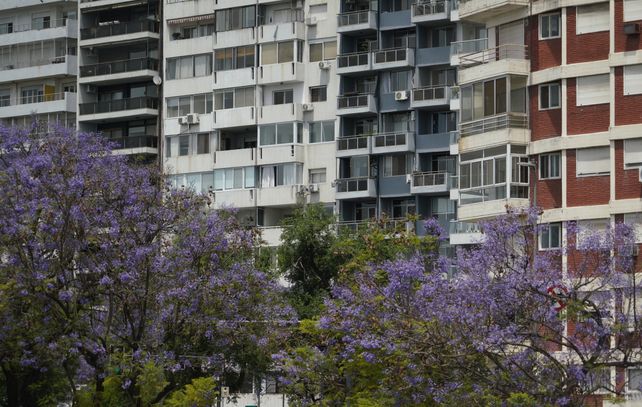 Hay cuadras donde se han ocupado la totalidad de los terrenos.