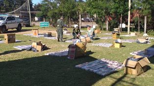 Reglamentaron el cupo laboral trans en Rincón