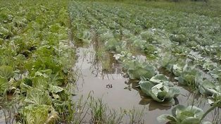 Quinteros pedirán a Lifschitz un plan integral de manejo del agua