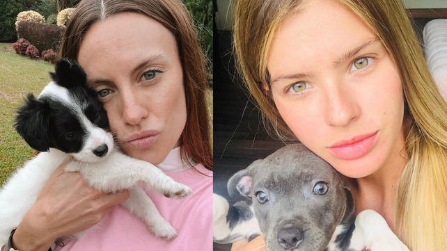 La ex cantante de Agapornis apuntó contra La China Suárez por el dudoso cuidado de sus perros
