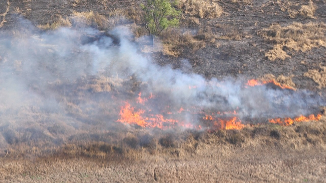 Fuerte operativo para erradicar los incendios en zonas próximas a la ciudad de Santa Fe e islas del Delta