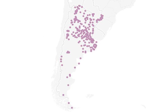 Un mapa interactivo muestra el aumento de femicidios en Rosario y todo el país