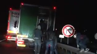 Un grupo de inmigrantes se encontró con un oso polar cuando se quiso colar en un camión
