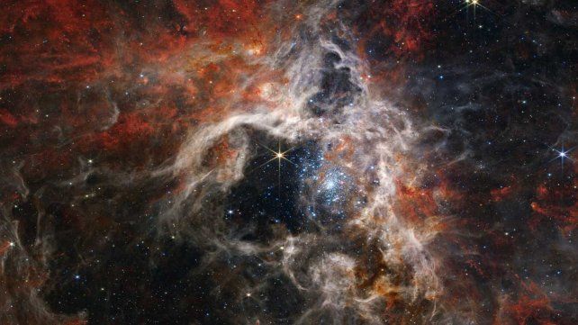 El telescopio James Webb descubrió miles de estrellas en la Nebulosa de la Tarántula