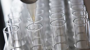 Aprobaron una droga para eliminar el virus de la hepatitis C