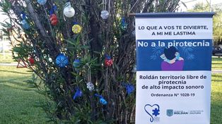 Roldán impulsa una campaña de concientización contra el uso de pirotecnia