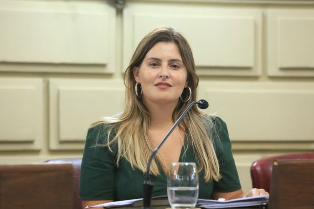 La socialista Cattalini objetó a la Nación por el cargo ofrecido a Sain.