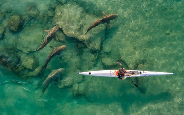 Drone Photo Awards 2021, impactantes imágenes desde las alturas