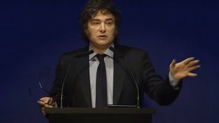 El presidente Javier Milei volvió a negar el cambio climático.