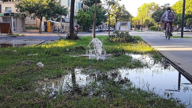 Pérdida de agua en el cantero central de Avenida Freyre