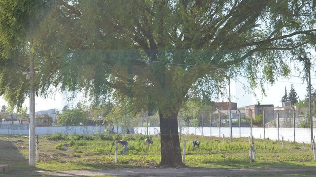 Un recorrido entre los muros que albergan a la Unidad Penal N° 1